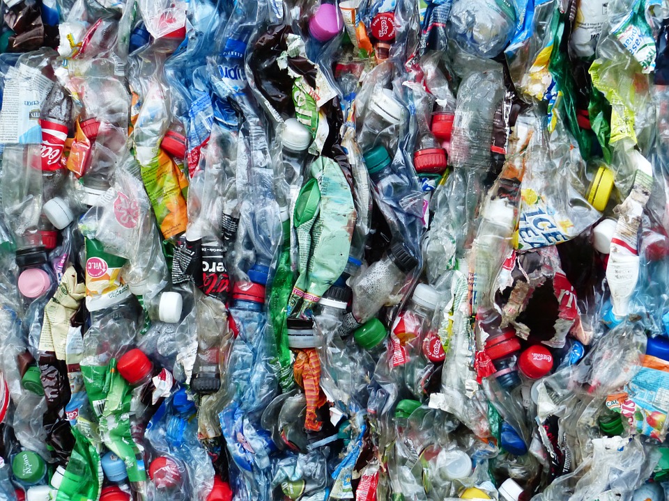 Borjomi, боржоми, экология, переработка пластика и стекла, устойчивое развитие, эко инициативы, глобус, где сдать пластик